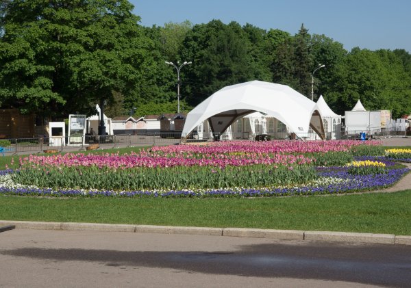 Парк Сокольники весной