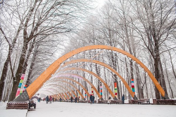Парк Сокольники Москва зимой