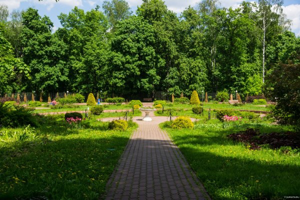 Парк Сокольники