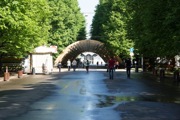 Парк Сокольники Центральная аллея