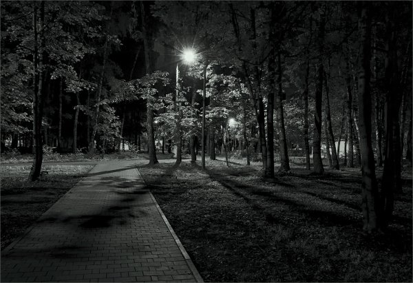 Ночной Щёлковский парк