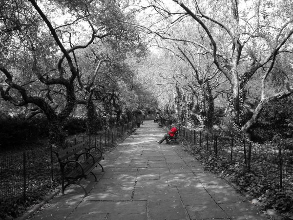 Фон парк черно белый