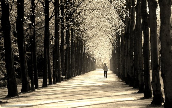 Пустой парк