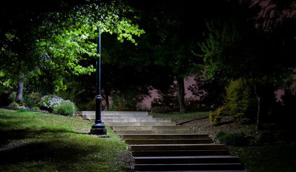 Городской парк в тёмных тонах