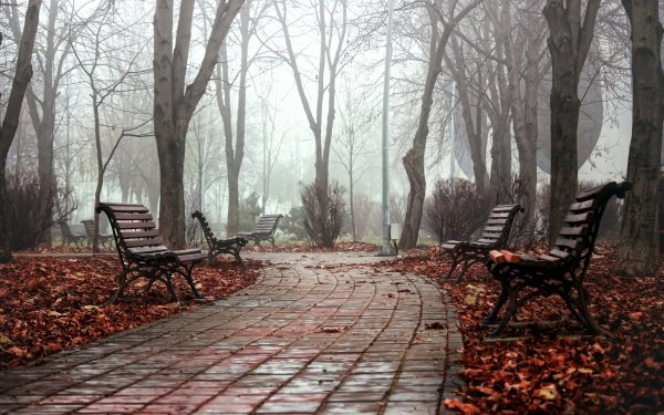 Мрачный парк