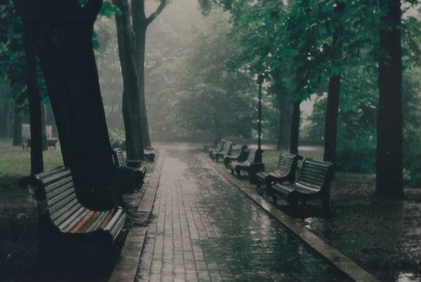 Скамейка в парке дождь