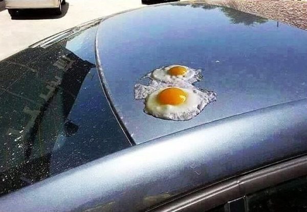 Яичница на капоте