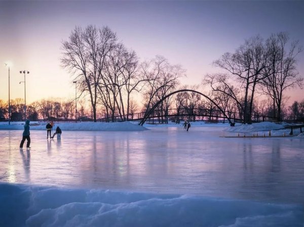 Петровский парк каток