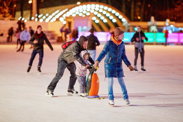 Каток в Делегатском парке