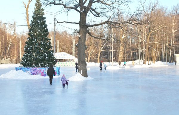 Измайловский парк каток