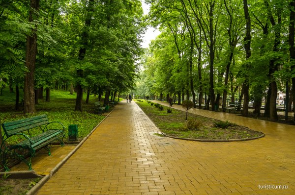 Курортный лечебный парк Ессентуки