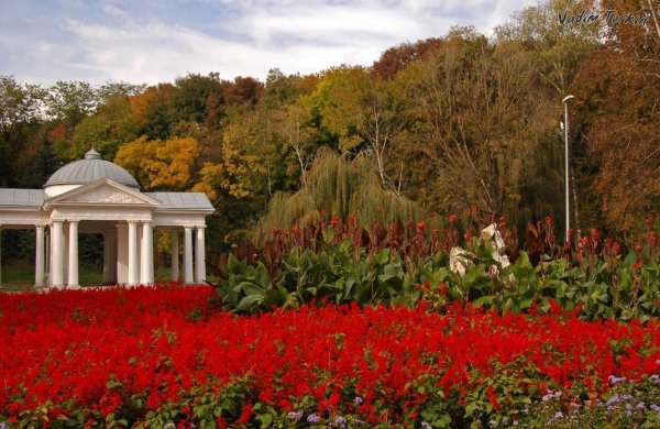 Ессентуки природа