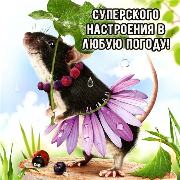 Суперского настроения