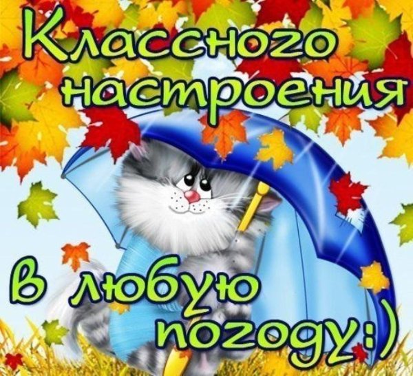 Хорошего настроения в любую погоду