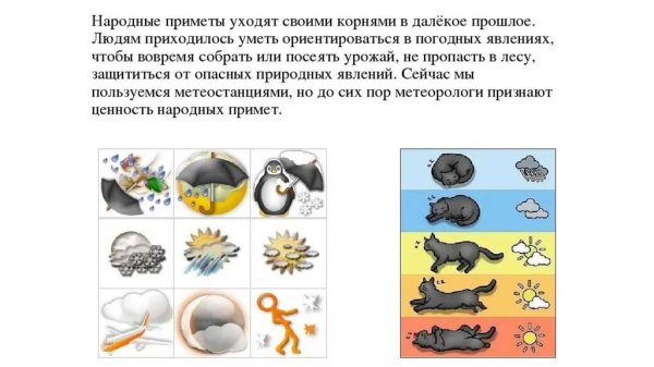 Народные приметы