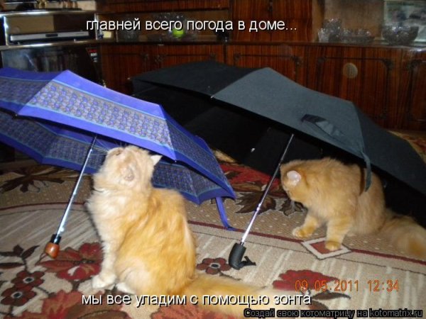 Главней всего погода в доме