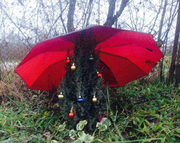 Фото погода в доме