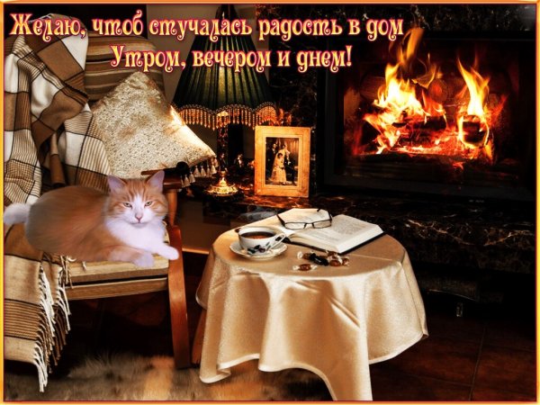 Тёплого уютного вечера