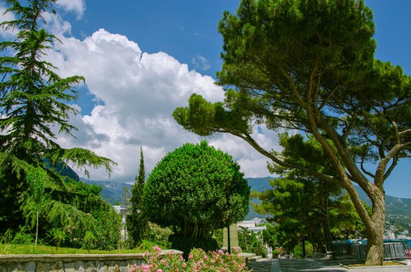 Парк Гагарина Ялта