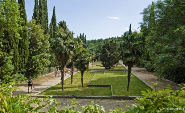 Приморский парк Ялта Приморский парк