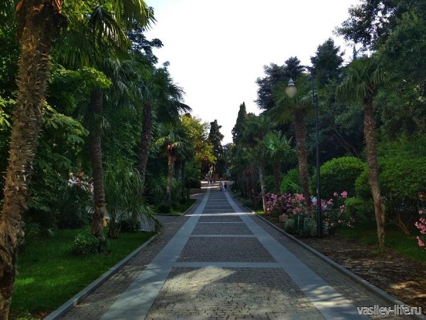 Приморский парк Ялта