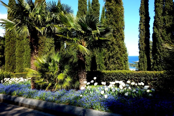 Ялта Партенит парк Айвазовского