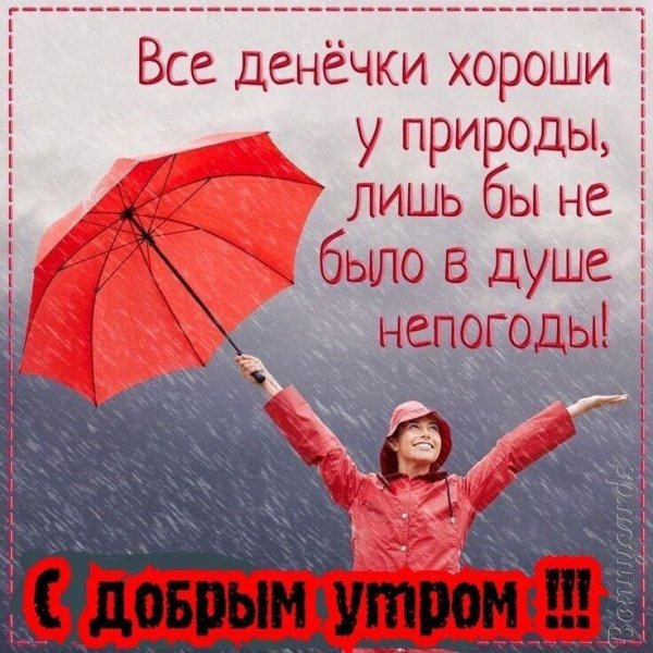 Отличного настроения в любую погоду