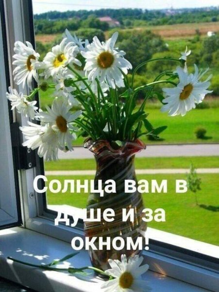 Солнца тепла и хорошего настроения