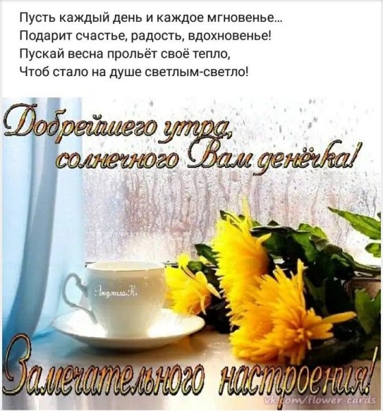 С солнечным утром и добрым днем