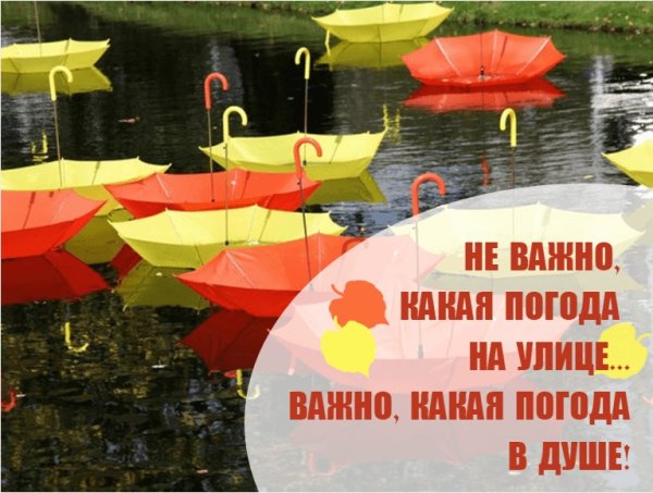 Хорошего настроения в любую погоду