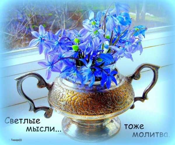 Доброго светлого дня
