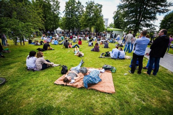 Пикники в парках