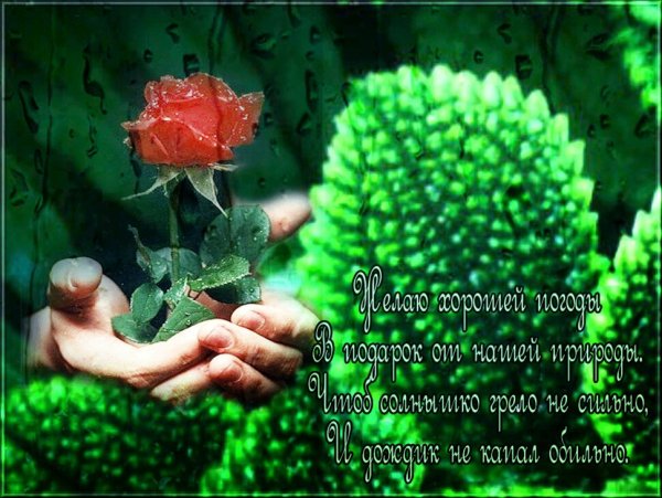 Отличного настроения в любую погоду