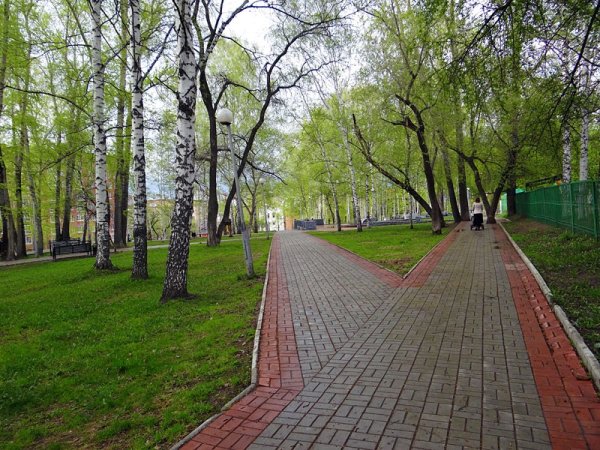 Буфсад Томск