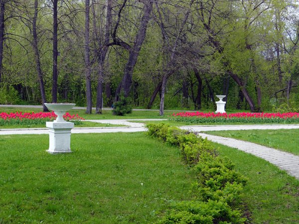 Университетская роща Томск Новособорная