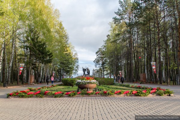 Лагерный парк Томск