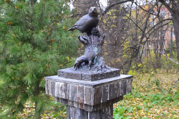 Томск парк Кедровке