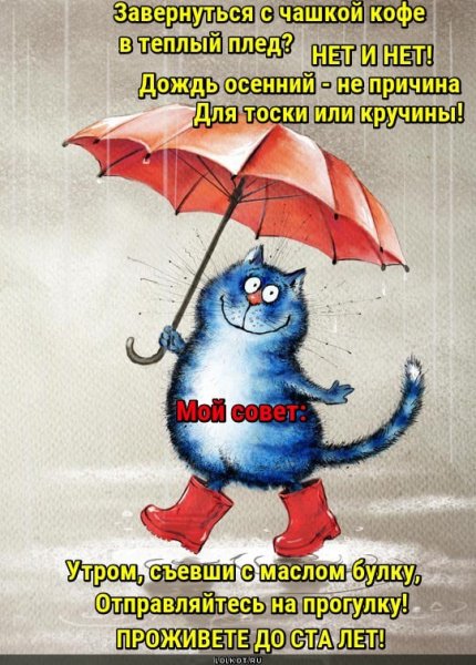 С добрым дождливым утром прикольные