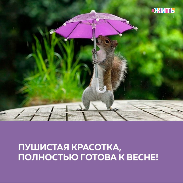 Осень неизбежна