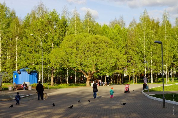 Парк Киров парк