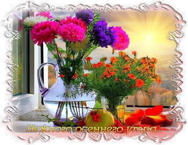 Доброго осеннего утра и хорошего и солнечного настроения