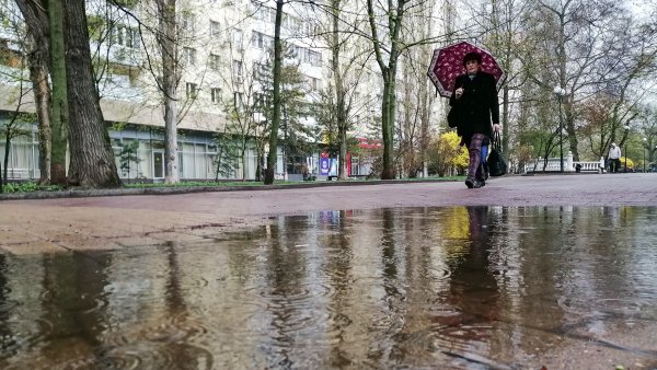 Город весной