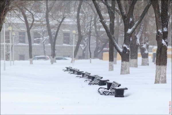 Ростов зима 2014