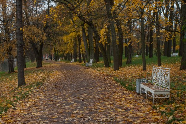 Екатерининский парк осенью в Царском селе