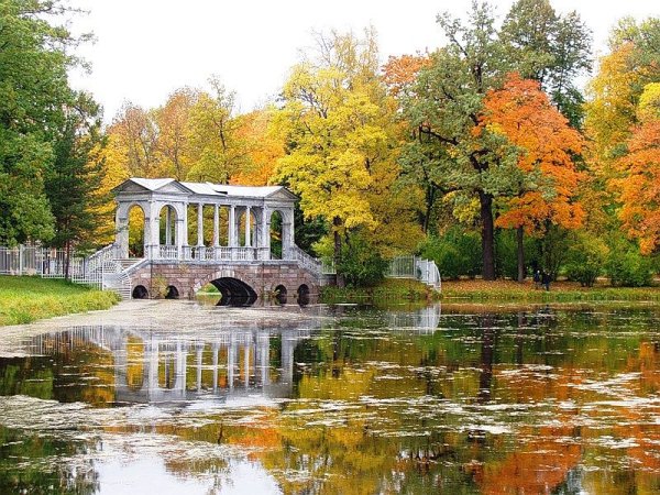 Лицей Царскосельский лицей парк