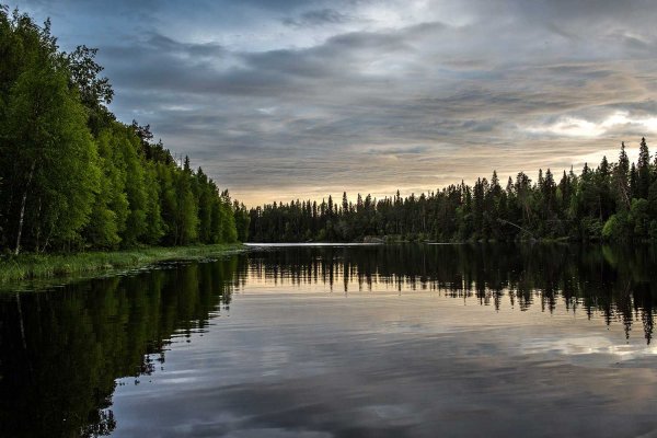 Национальный парк Водлозерский Илекса