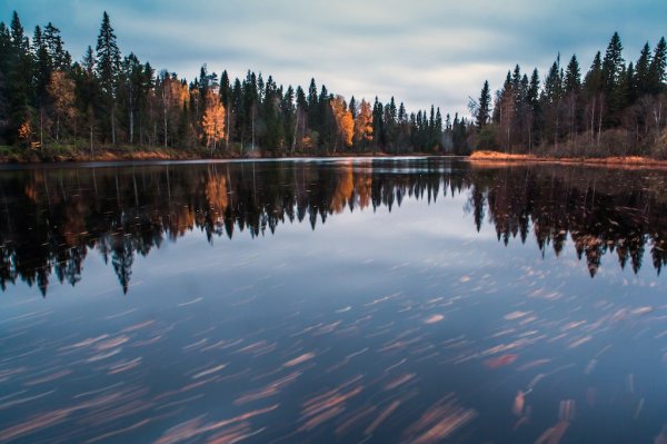 Водлозерский национальный парк Архангельской области