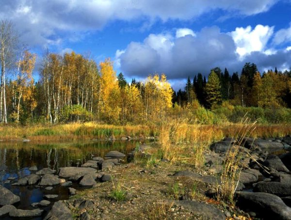 Водлозерский национальный парк