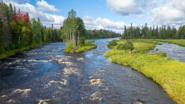 Водлозерский национальный парк Карелия