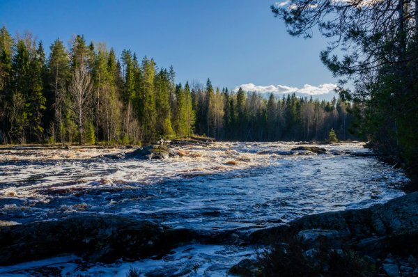 Водлозерский национальный парк